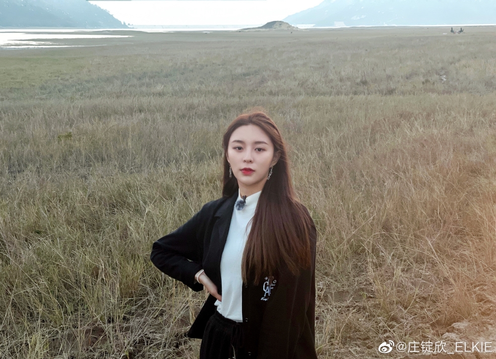 莊錠欣曾獲公司安排拍韓劇《富家公子》，以及發行個人單曲《I dream》，算係曝光率較高嘅成員