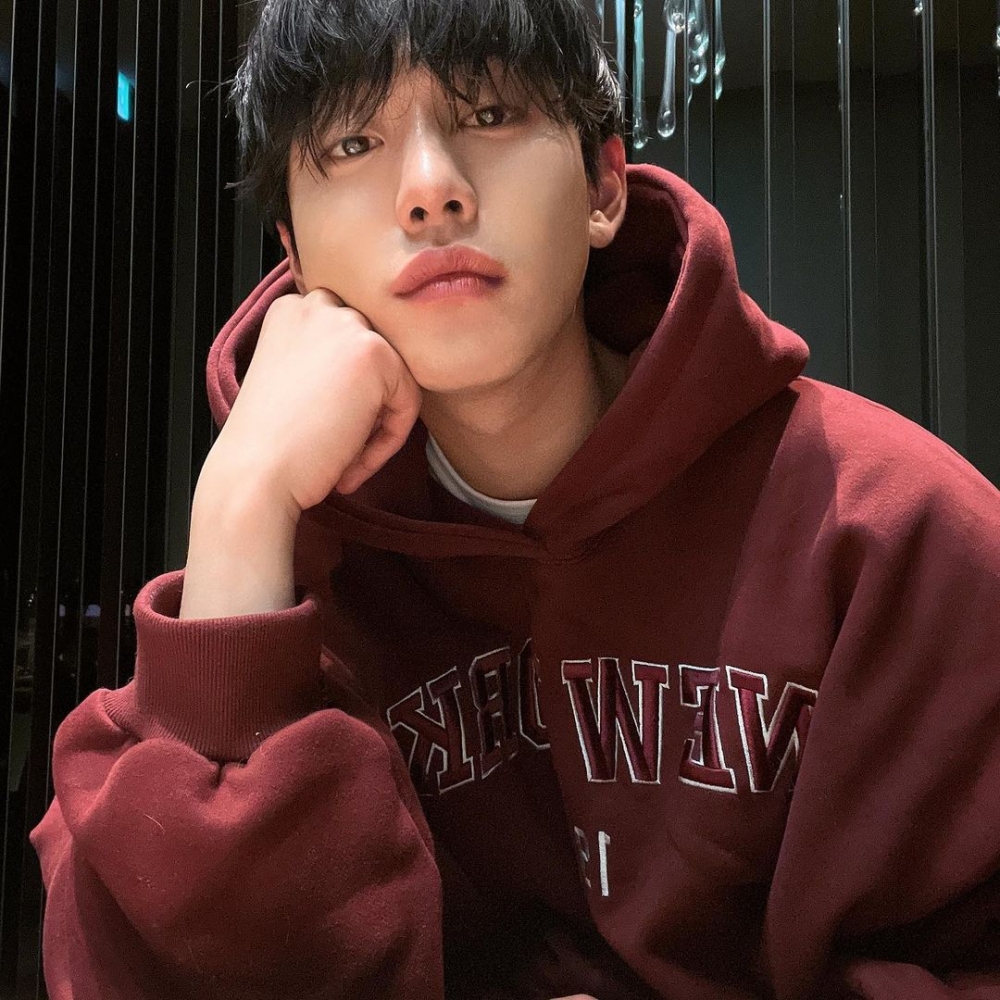 安孝燮是韓裔加拿大人。