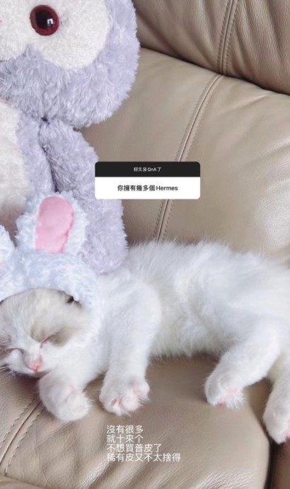 Cammi表示自己擁有10幾個Hermès手袋！