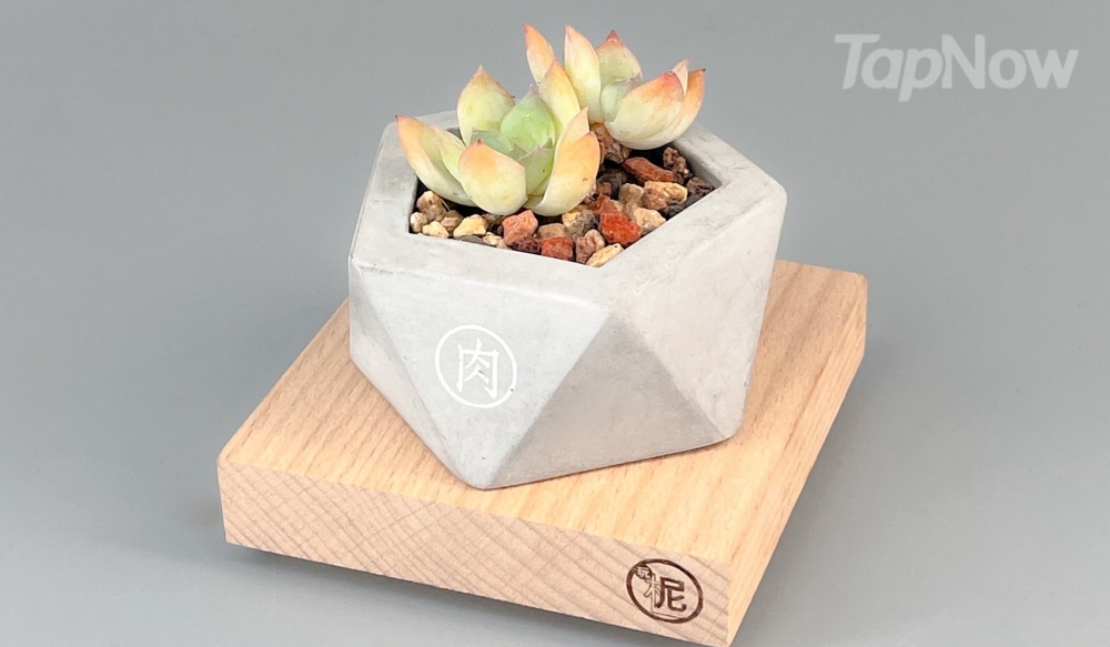 「玩柅 Laser Play」推出【北歐風水泥工作坊】