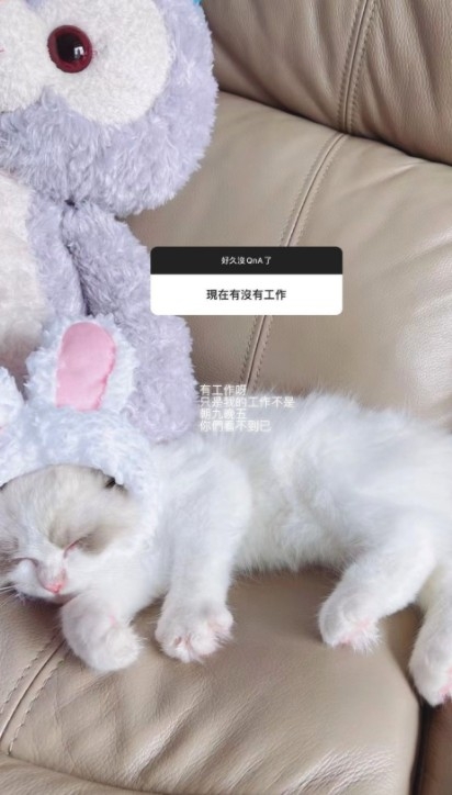 Cammi回覆自己宜家有返工，但並非朝九晚五工作！