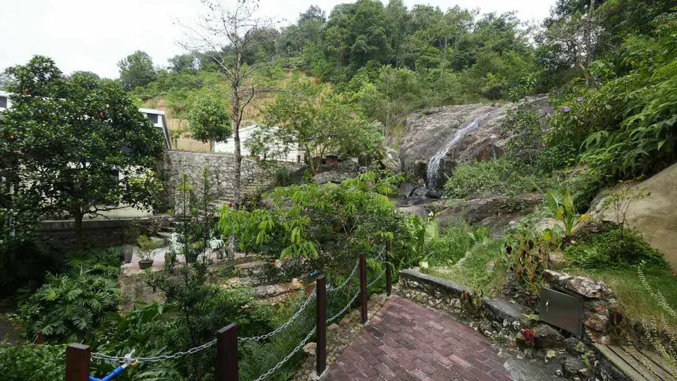 農場環境綠油油