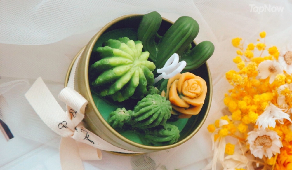 擺嘅喺屋企,增加園藝感大增!