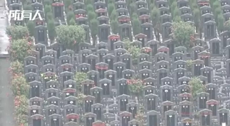 竟對著一片墳墓！