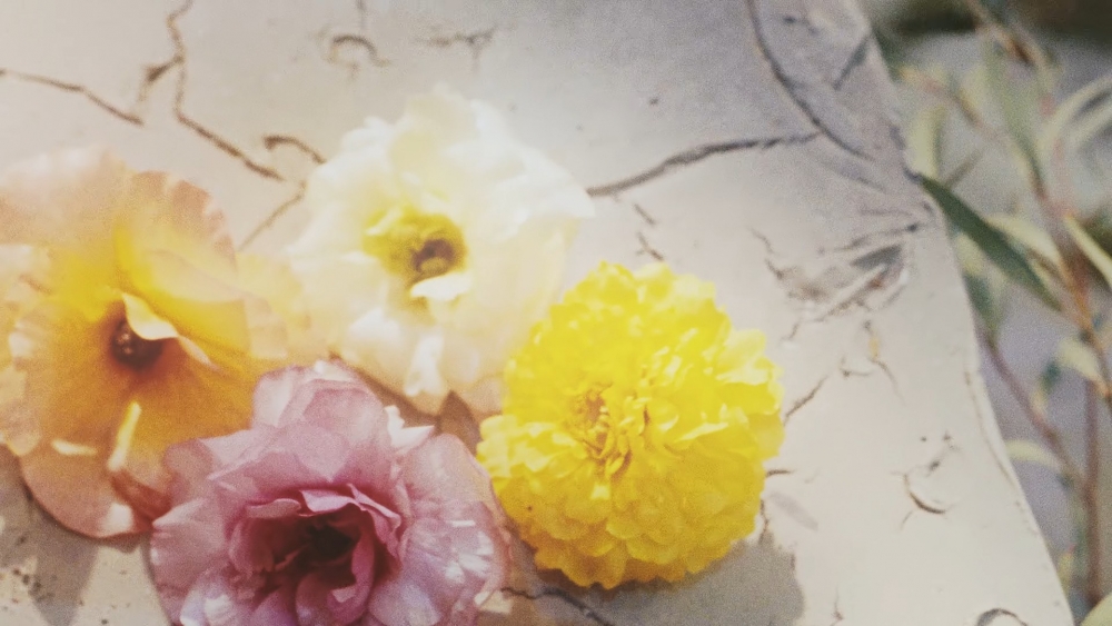 四朵盛開的花朵~