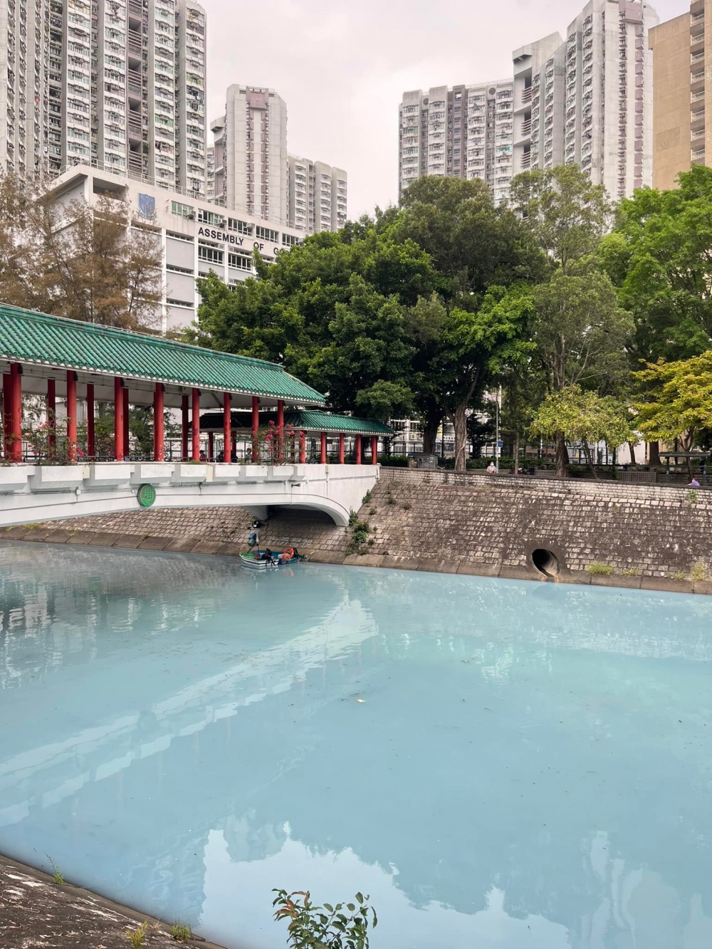 今次污染事件一出，隨即引起大量街坊關注，擔憂污水破壞附近生態。