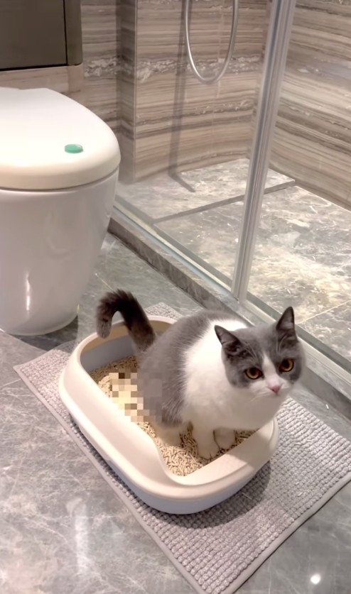 廁所亦係以大理石為主要材料