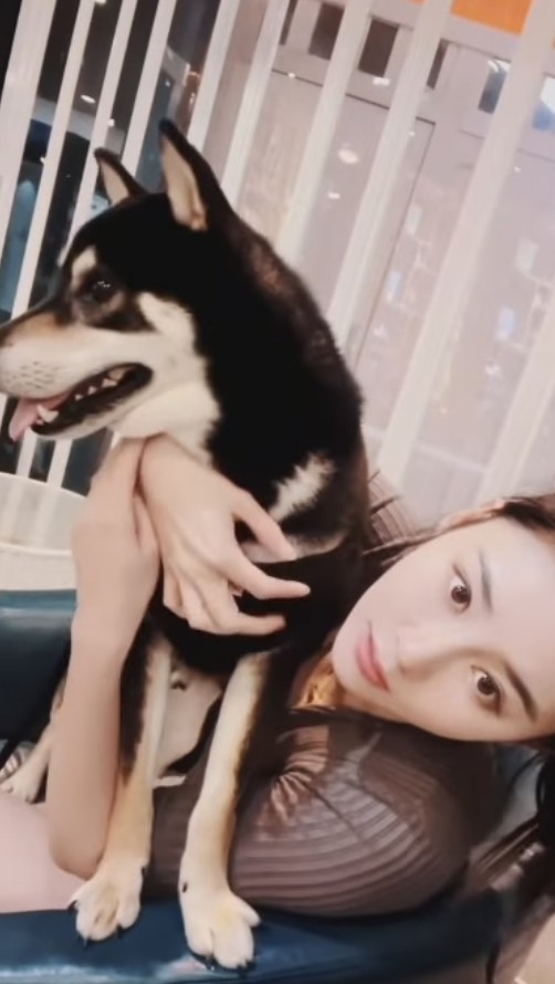 亦有網民決定既然狗狗都已經有新歸宿，都表示祝福～