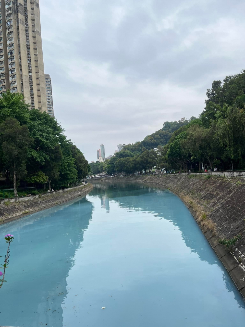 日前（4月18日）有網民在「大埔 TAI PO」Facebook Group 發文，指約早上10時發現林村河河水變粉藍色，導致不少死魚和垃圾在河中漂流；並懷疑此事與大埔泳池正進行外牆油漆工程有關。大埔區議員劉勇威和何偉霖已通知環保署及渠務署調查，他們呼籲街坊如發現附近有工程或作業可能涉及非法傾倒，或有人傾倒油漆物料到於路邊雨水渠，可以即時通知他們。