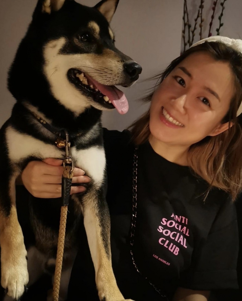 白雲早前公開表示自己於街頭拾獲黑色柴犬！