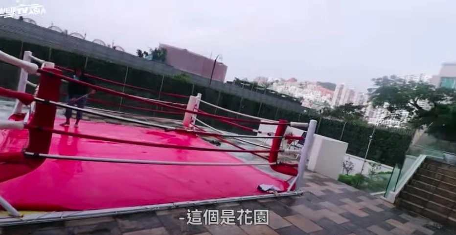 袁嘉敏大晒一張花園照,但疑似係喺鍾培生淺水灣5層逾萬呎豪宅,地磚十分相似