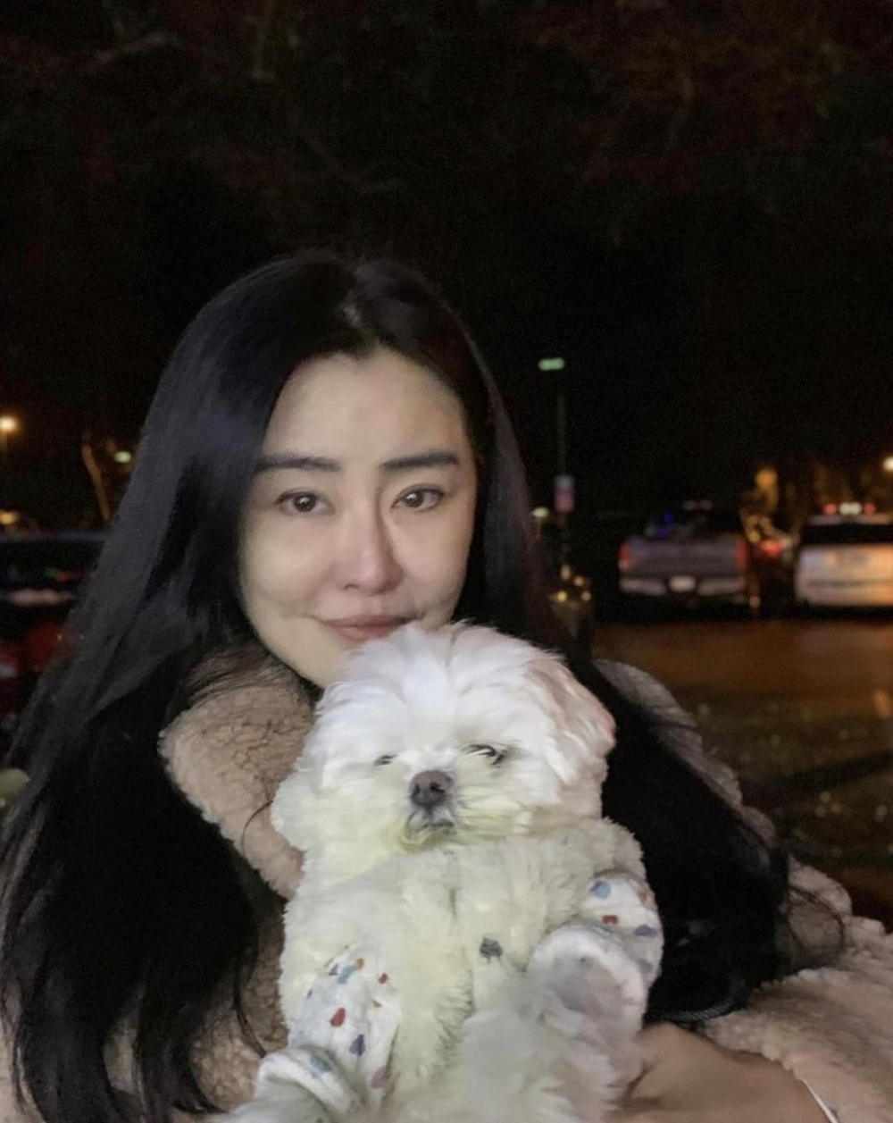 王祖賢2004年宣佈息影，並移居加拿大居住。