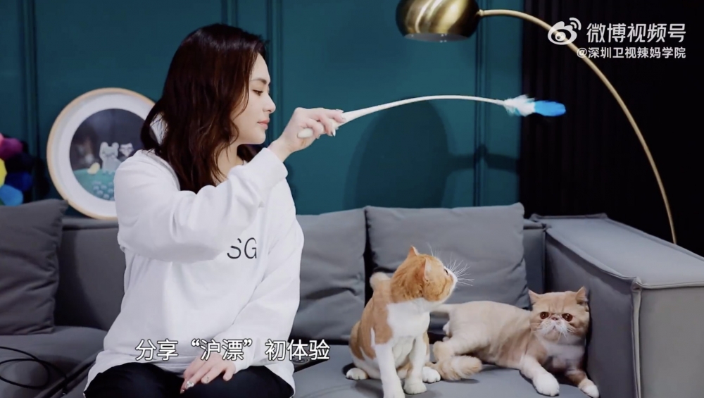 阿嬌又坦言有意買樓,為咗下定決心,佢更養咗兩隻愛猫。
