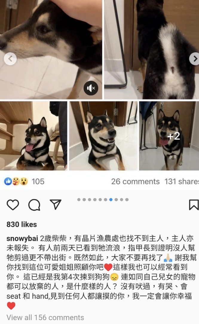 不過過咗一陣，白雲就表示停止尋找主人，仲話已經有新主人？！