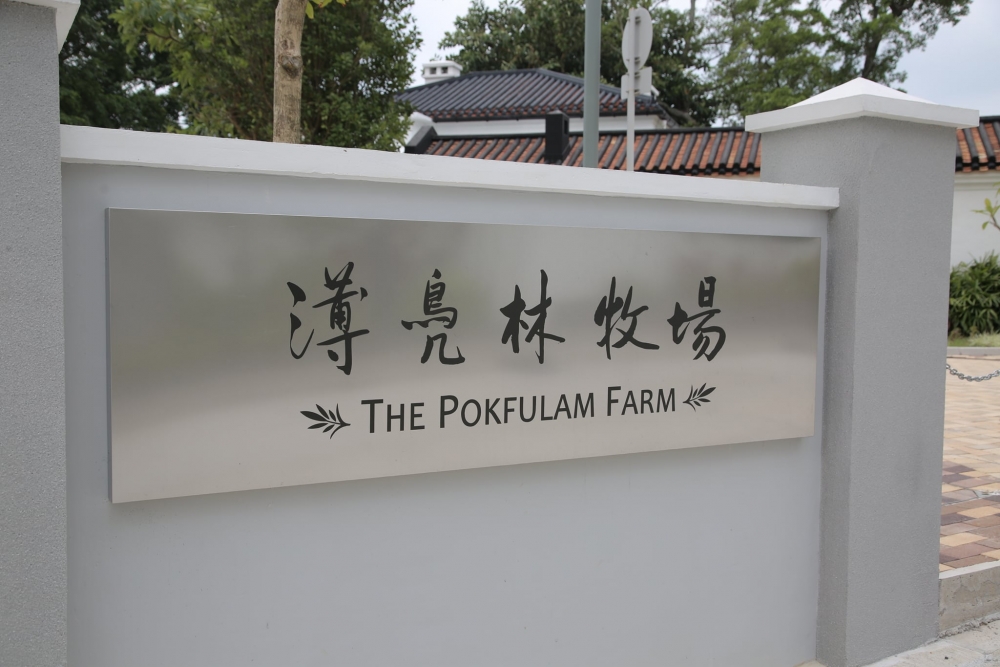 牧場將會在4月21日逐步開放,首半年會以試業形式營運,屆時將舉辦定期的展覽、導賞團、工作坊和活動,在試業期間將有限度開放設施和展示部分館藏,並只接受已預約人士進場參觀及參與活動,預計下半年會陸續正式投入運作,早前牧場已經開放首階段預約,反應相當熱烈,兩小時內已經爆滿。