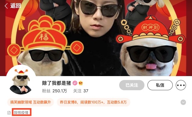 內地網紅「可子」喺微博坐擁250萬粉絲