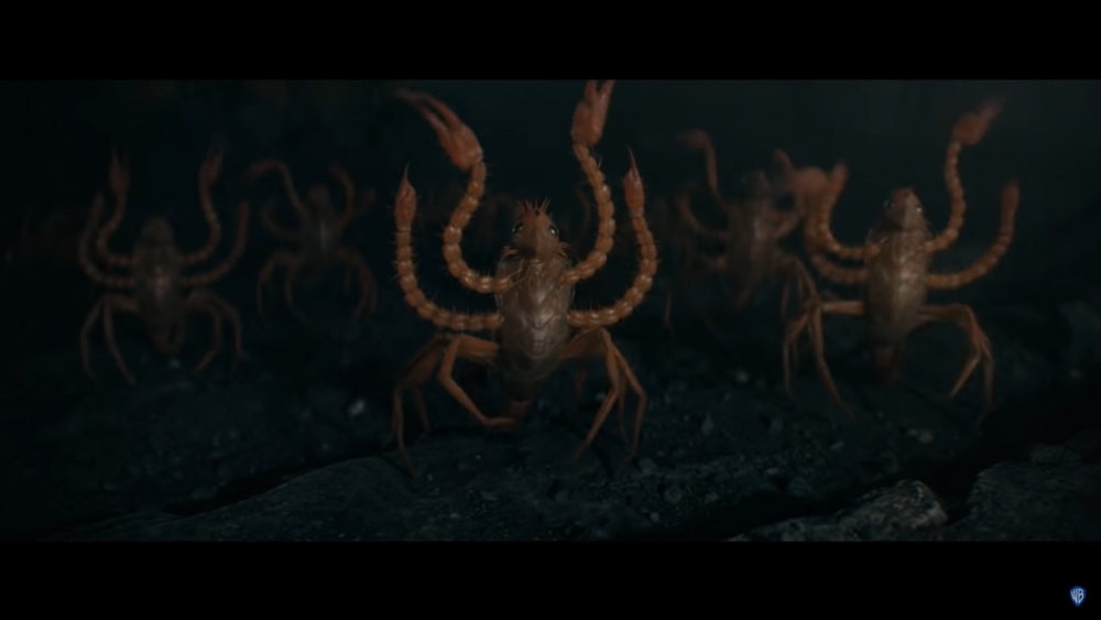 恐怖但超萌的人面蠍尾獅！