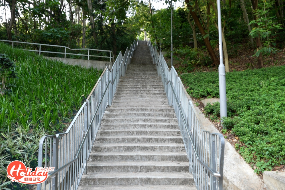 再經過隧道,便到達分叉路口,記得選擇爬樓梯上去荃灣公路。