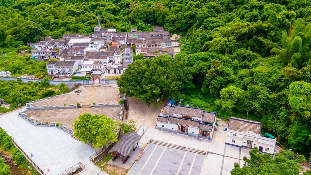 預計由大水坑出發至荔枝窩需時90分鐘,將會按乘客需求途徑三門仔或大尾篤。