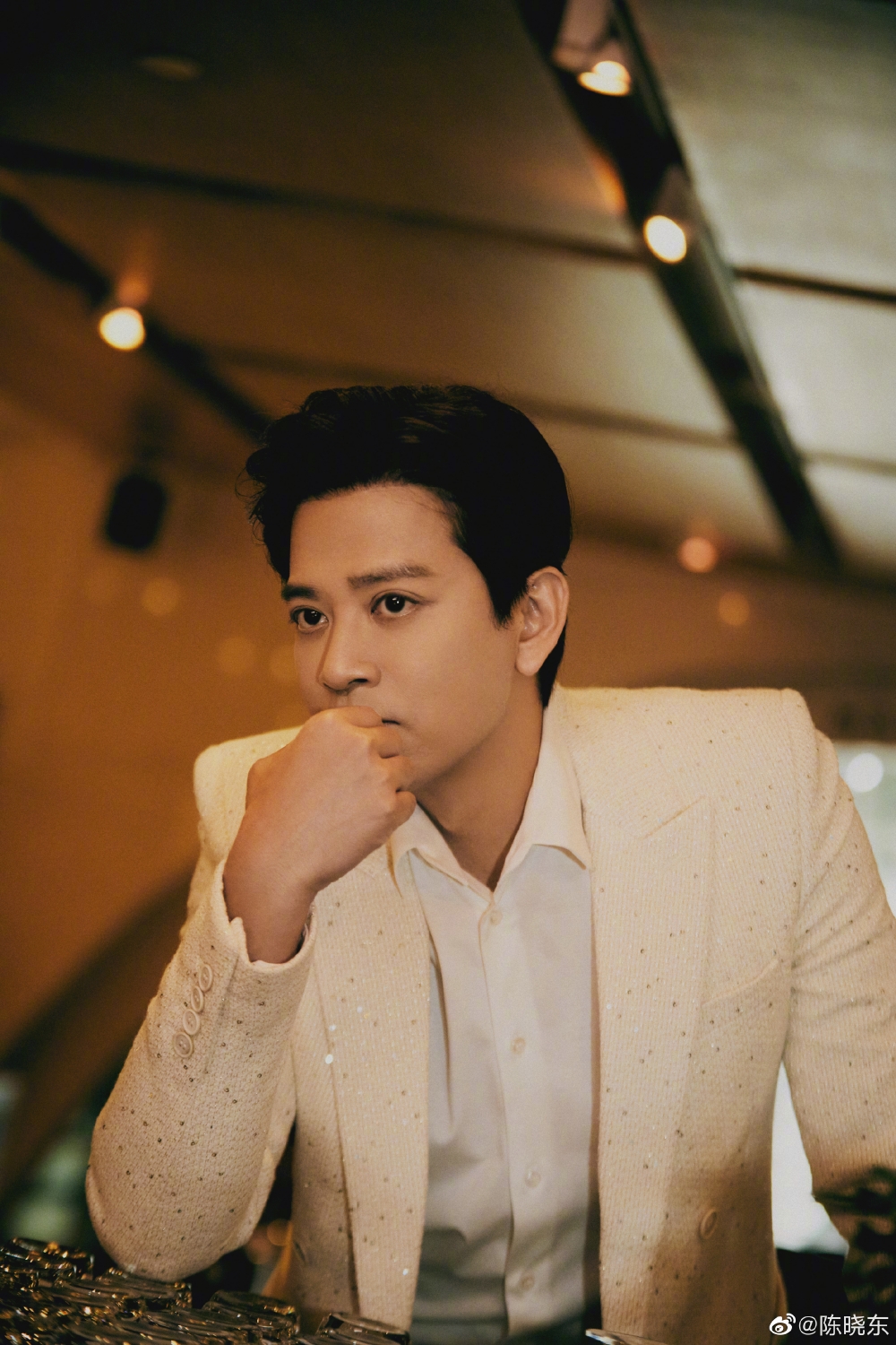 現年46歲嘅陳曉東定居內地多年