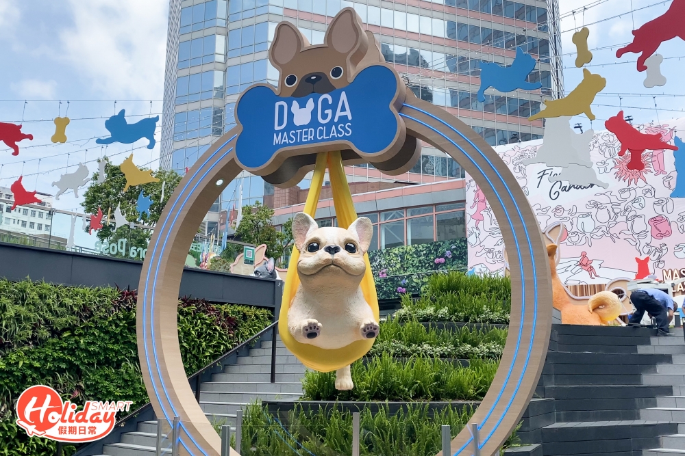 各位汪星人一改平時愛搗蛋的個性,變身成專業瑜伽高手。