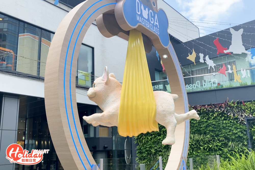 白色法鬥仔懸吊在半空的瑜伽掛布上,畫面充滿動感。