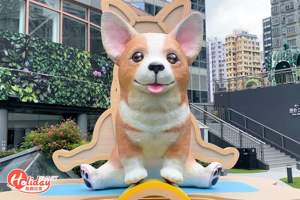 哥基則挑戰高難度動作,利用瑜伽輪,即場表演一字馬!