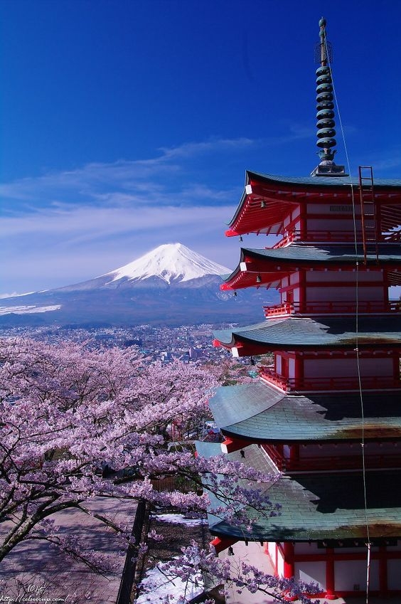 日本6月10日起恢復接待外國遊客,大家可以開始物色定去邊啲日本旅遊景點喇!