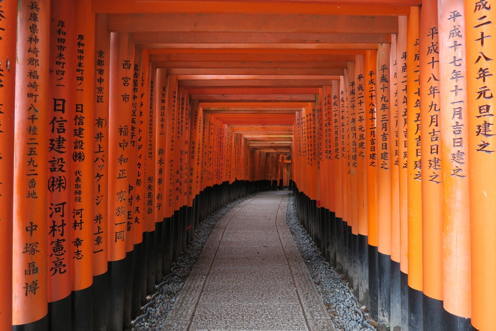 雖然日本於6月恢復海外遊客入境,但初步只限接待旅行團遊客。