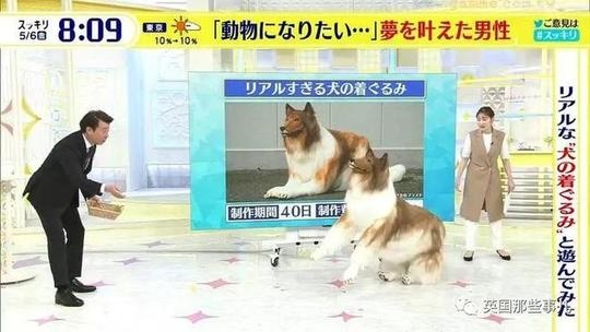 Toco與主持互動,大玩拋接波波