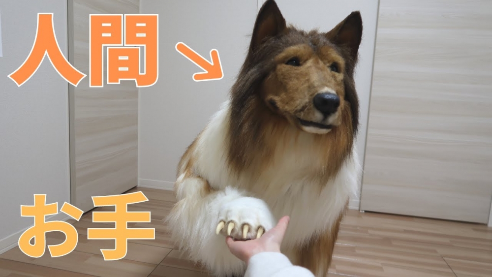 不過亦有網友認為只係比較罕見嘅個人嗜好