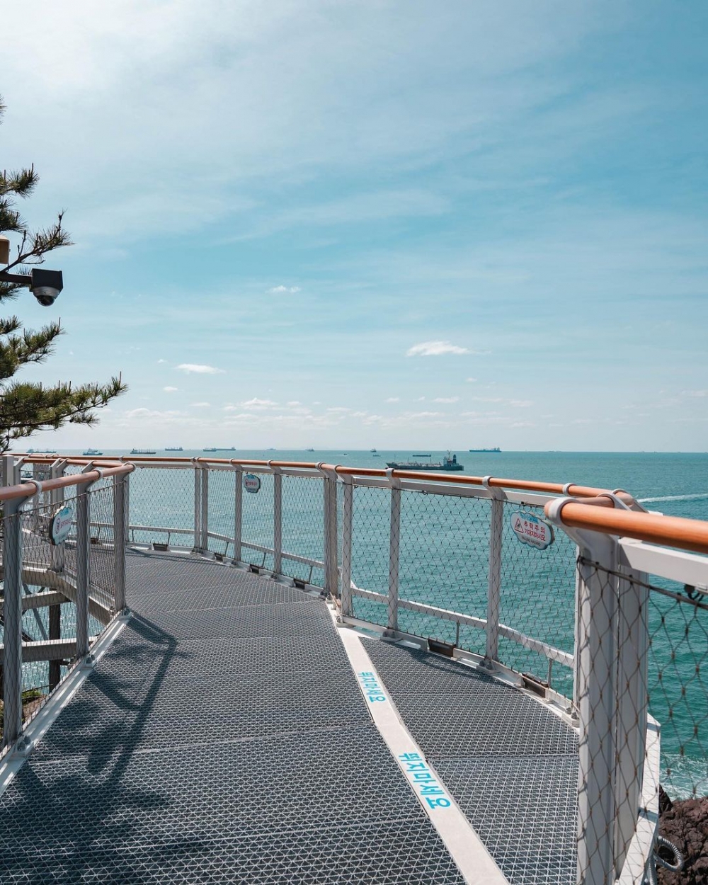 站在橋上可望到無敵大海景~