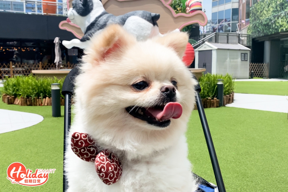 場內亦設有其他狗狗造型影相位,大家可以帶主子一齊打卡,還可幫忙做慈善。