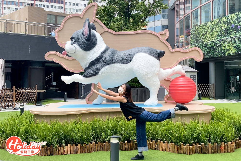 所有萌犬們包括柴犬、法鬥及哥基等出盡渾身解數,擺出可愛又專業的瑜伽姿勢。