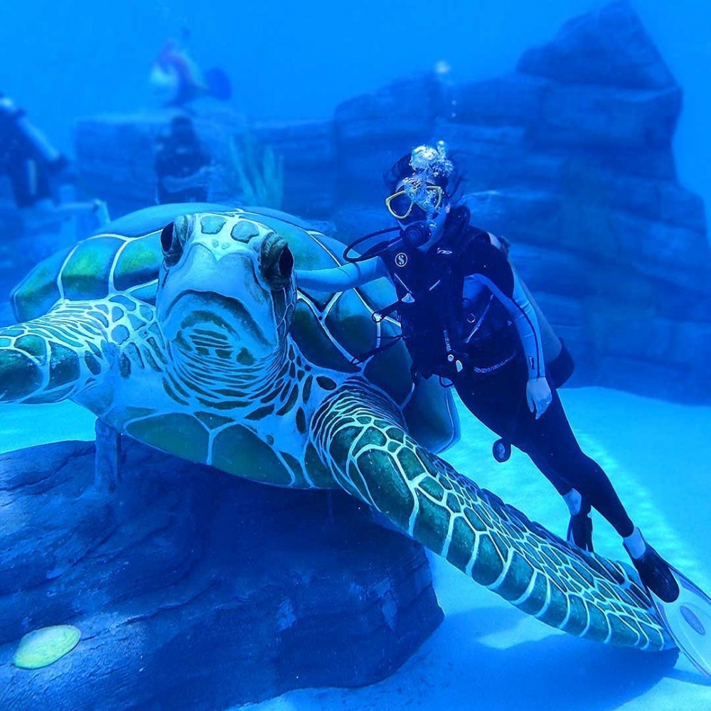 Wave Park仲可以潛水!