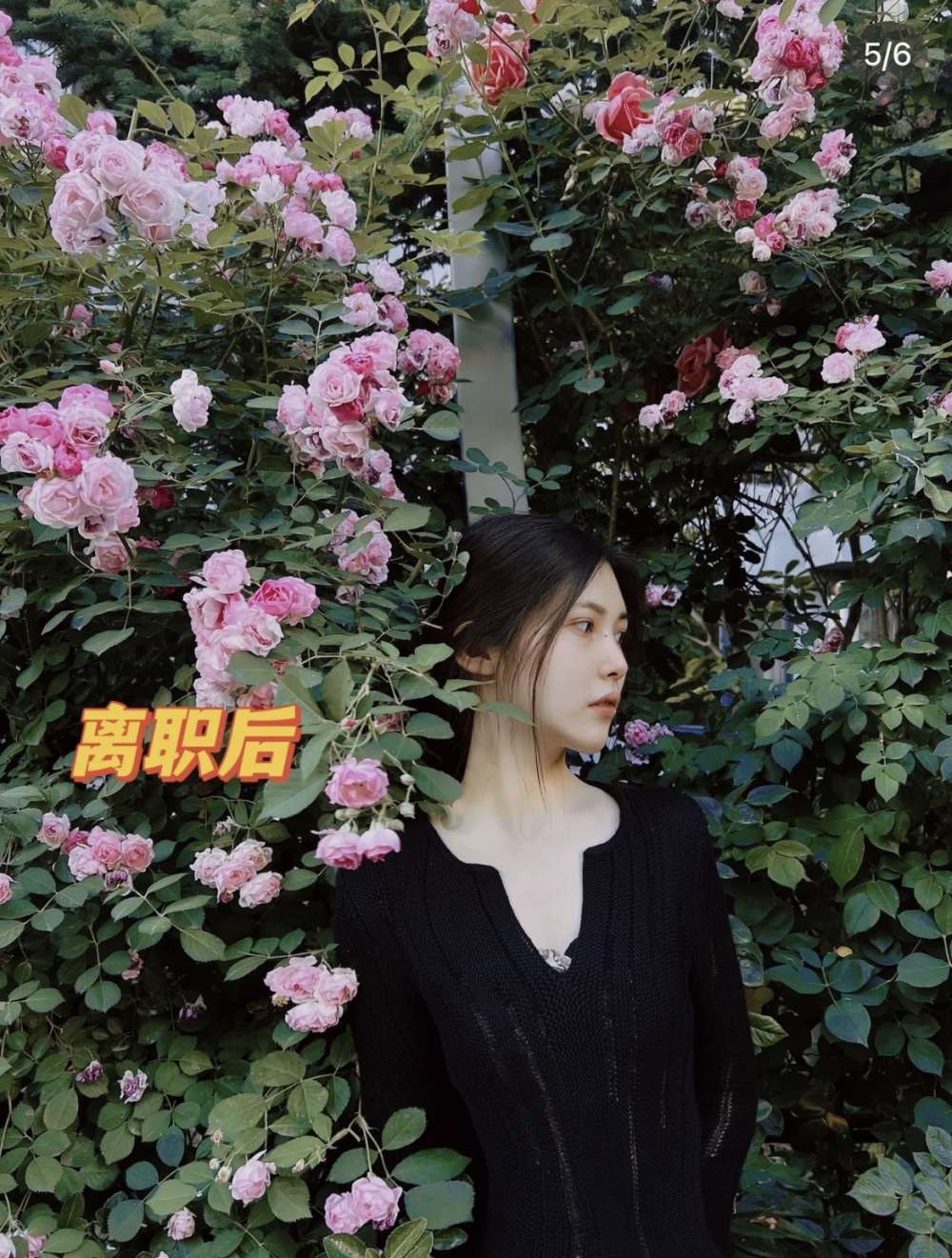 辭職後又變回畢業前模樣