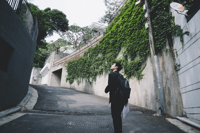 《上流寄生族》劇照