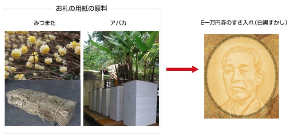 根據日本「国立印刷局」，日本紙幣所用嘅紙張係由結香同馬尼拉麻蕉製成