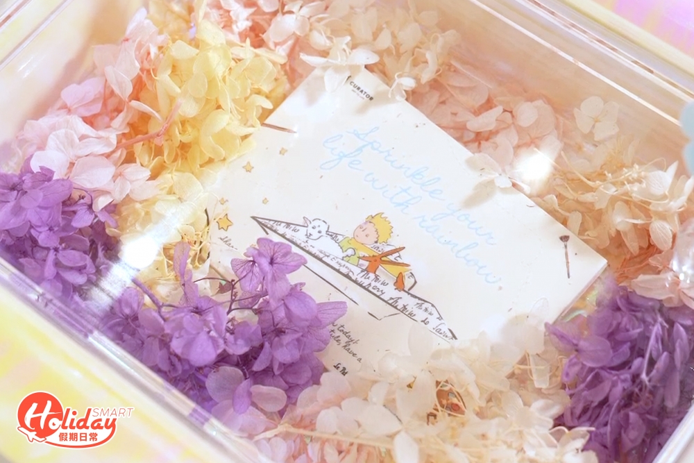 食完盒下更有小綿羊的岀現!