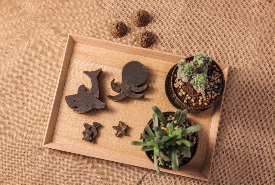 「咖啡渣種植工作坊」