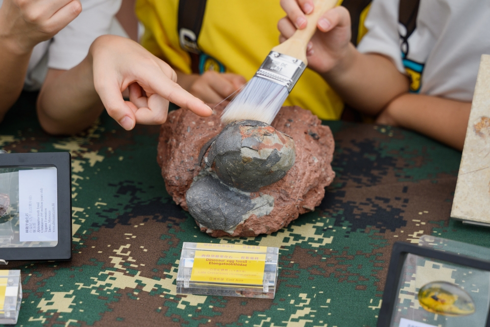小朋友更可以趁著展覽期間化身恐龍學家,入讀限定恐龍學院!