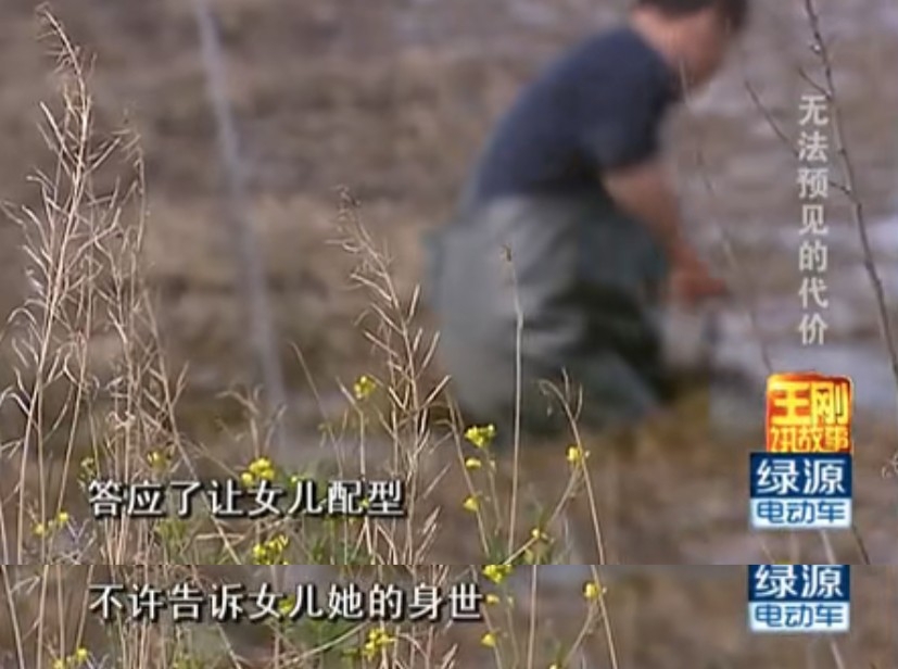 張爸爸得知事情後同意咗麗娜捐骨髓,但要求陳玲佢哋唔可以向麗娜公開佢哋嘅親子關係