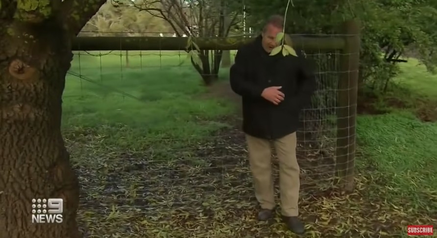 佢企返係當日決鬥嘅位置憶述事件