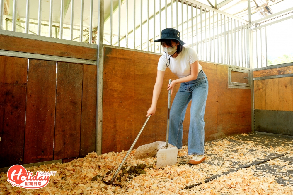 馬會獸醫每月前來幫馬匹做檢查,保證馬匹健健康康、住得舒服!