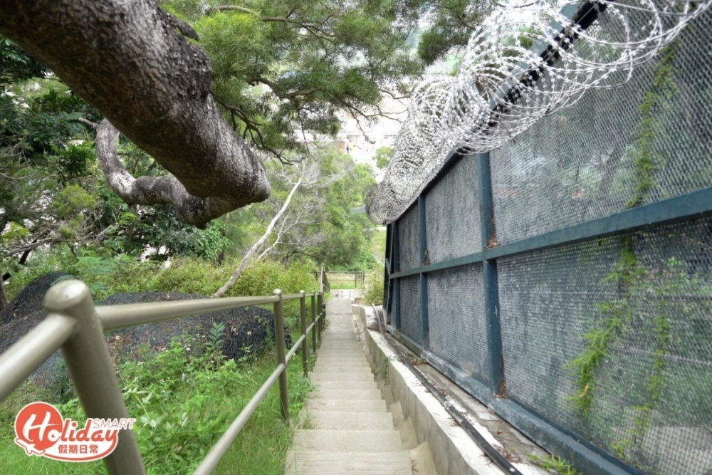 就可以見到格仔山嘅紅白方格，同一覽九龍城區嘅景色啦！