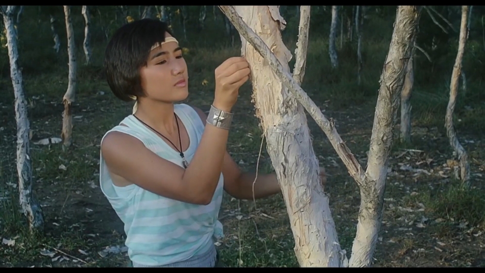 柏安妮因受到黃百鳴賞識而出演電影《開心樂園》。