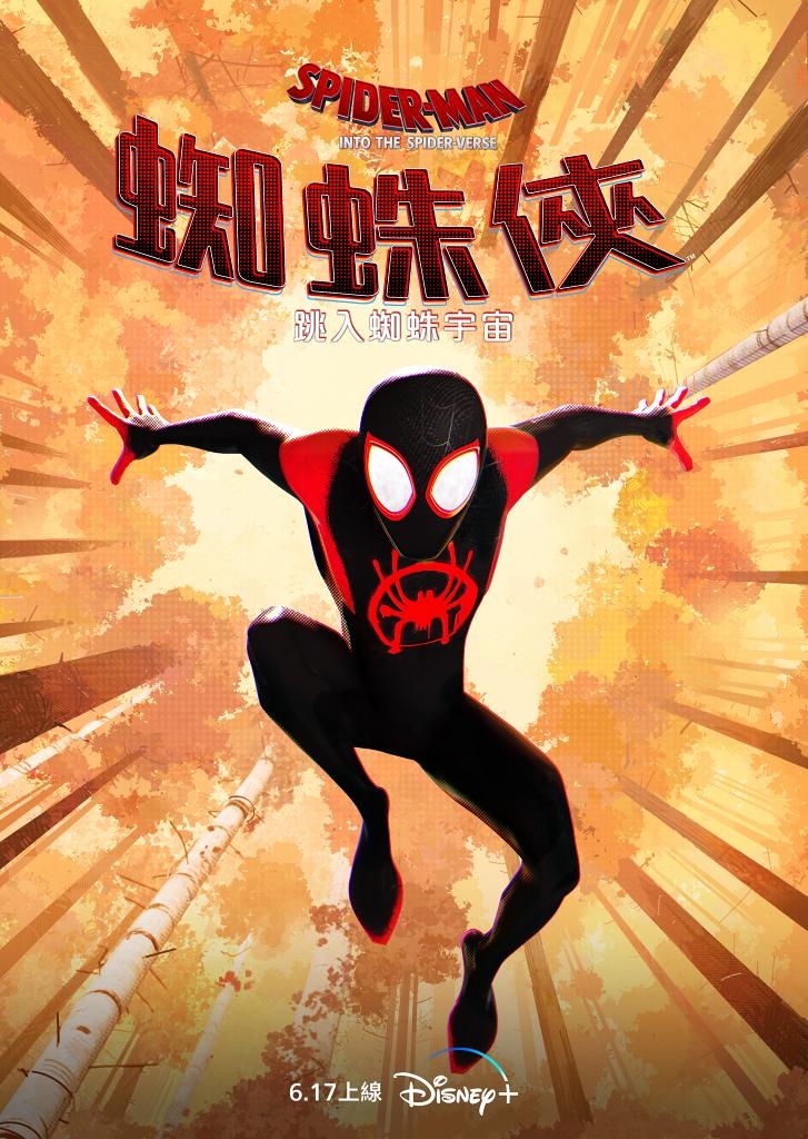 蜘蛛俠：跳入蜘蛛宇宙