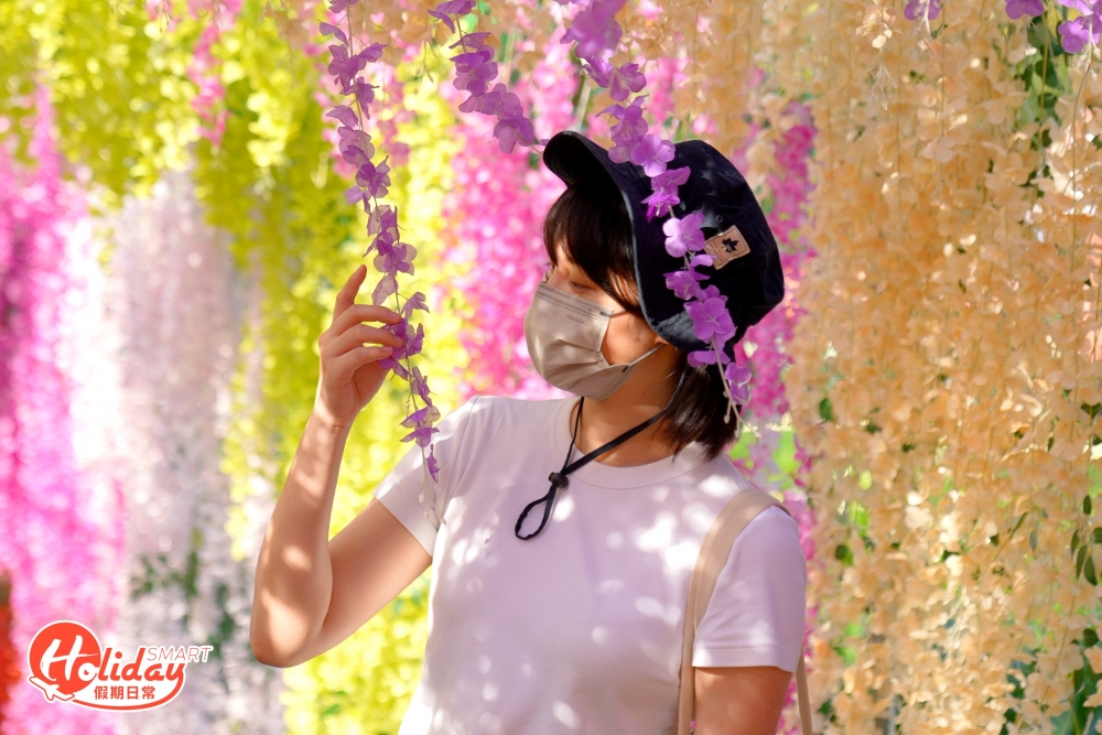 陽光照射下加上微風吹過,視覺效果相當唯美!