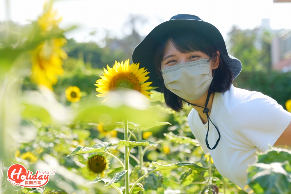 園方更細心地劃分小路,方便大家拍照!