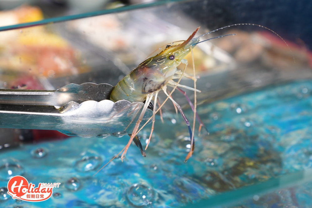 餐廳每日提供最少150至160斤大頭蝦，吃光缸內的蝦更可叫職員即場加蝦。